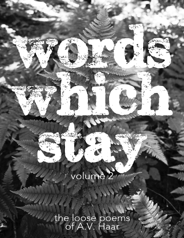 wordswhichstaycover2