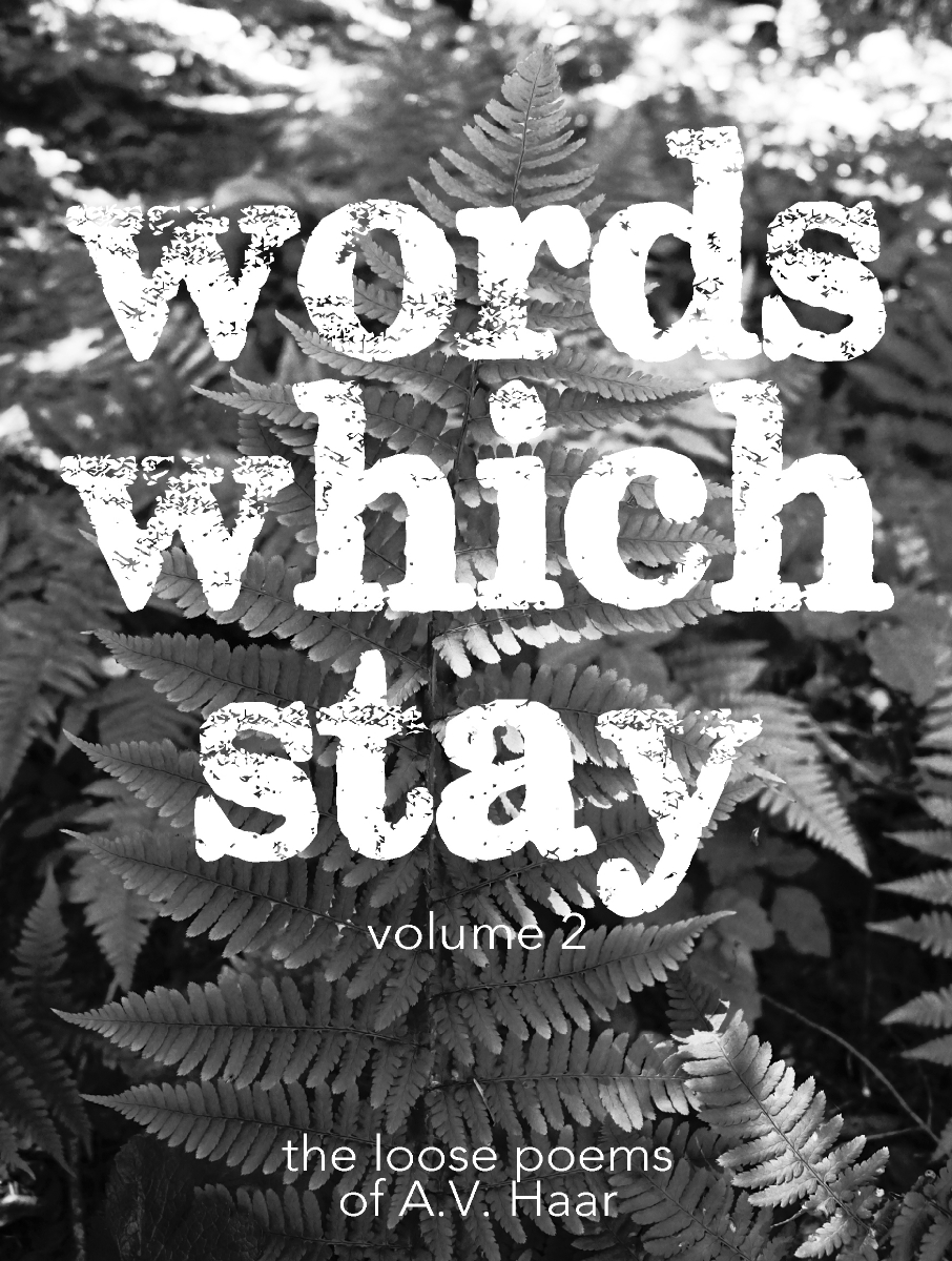 wordswhichstaycover2